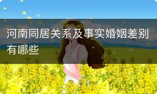 河南同居关系及事实婚姻差别有哪些