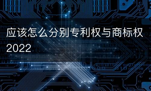 应该怎么分别专利权与商标权2022
