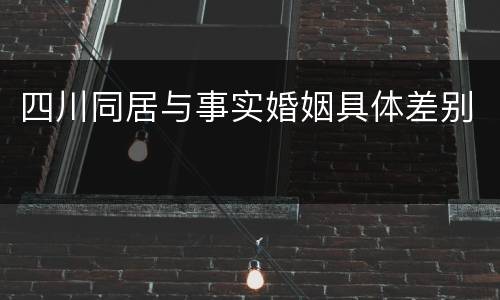 四川同居与事实婚姻具体差别