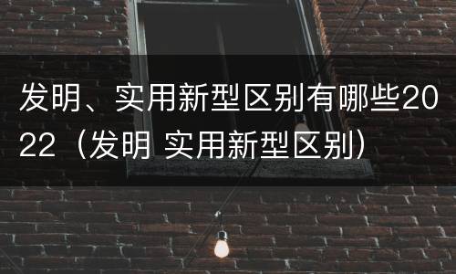 发明、实用新型区别有哪些2022（发明 实用新型区别）