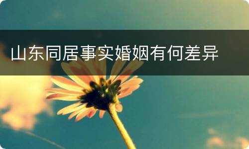 山东同居事实婚姻有何差异