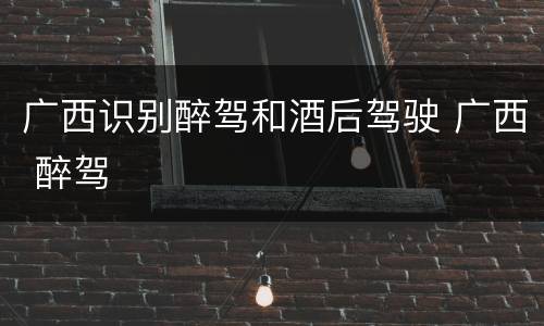 广西识别醉驾和酒后驾驶 广西 醉驾