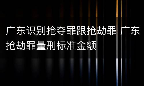 广东识别抢夺罪跟抢劫罪 广东抢劫罪量刑标准金额