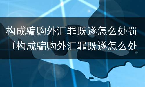 构成骗购外汇罪既遂怎么处罚（构成骗购外汇罪既遂怎么处罚的）