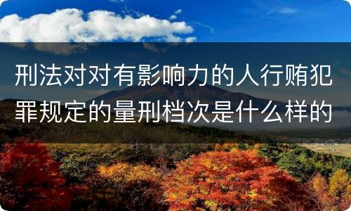 刑法对对有影响力的人行贿犯罪规定的量刑档次是什么样的