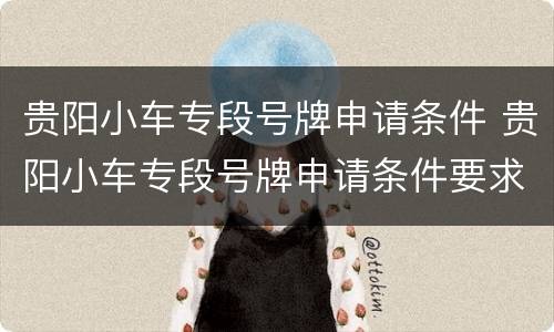 贵阳小车专段号牌申请条件 贵阳小车专段号牌申请条件要求