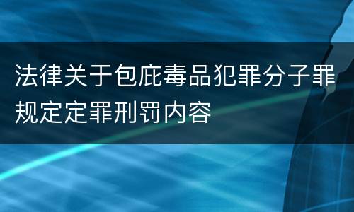法律关于包庇毒品犯罪分子罪规定定罪刑罚内容