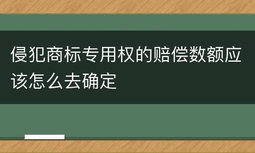 侵犯商标专用权的赔偿数额应该怎么去确定