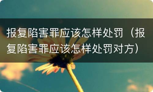 报复陷害罪应该怎样处罚（报复陷害罪应该怎样处罚对方）