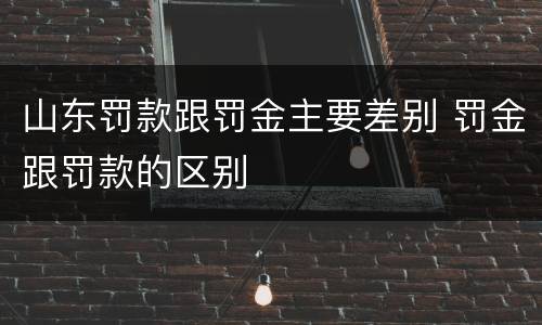 山东罚款跟罚金主要差别 罚金跟罚款的区别
