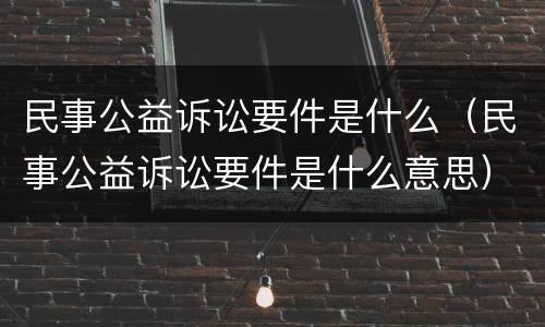 民事公益诉讼要件是什么（民事公益诉讼要件是什么意思）