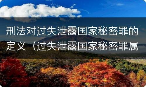 刑法对过失泄露国家秘密罪的定义（过失泄露国家秘密罪属于哪一类犯罪）
