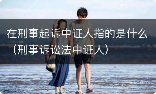 在刑事起诉中证人指的是什么（刑事诉讼法中证人）