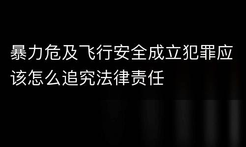 暴力危及飞行安全成立犯罪应该怎么追究法律责任