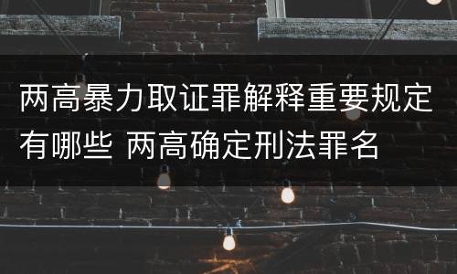 两高暴力取证罪解释重要规定有哪些 两高确定刑法罪名