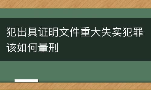 犯出具证明文件重大失实犯罪该如何量刑