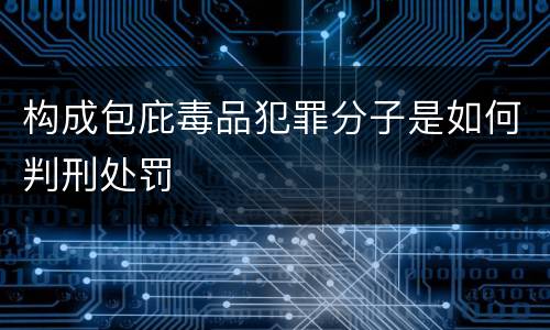 构成包庇毒品犯罪分子是如何判刑处罚