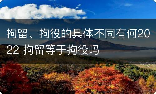 拘留、拘役的具体不同有何2022 拘留等于拘役吗