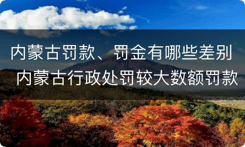 内蒙古罚款、罚金有哪些差别 内蒙古行政处罚较大数额罚款标准