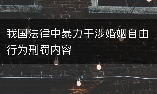 我国法律中暴力干涉婚姻自由行为刑罚内容