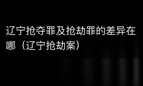辽宁抢夺罪及抢劫罪的差异在哪（辽宁抢劫案）