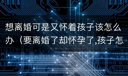 想离婚可是又怀着孩子该怎么办（要离婚了却怀孕了,孩子怎么办）