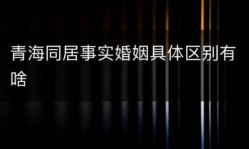 青海同居事实婚姻具体区别有啥
