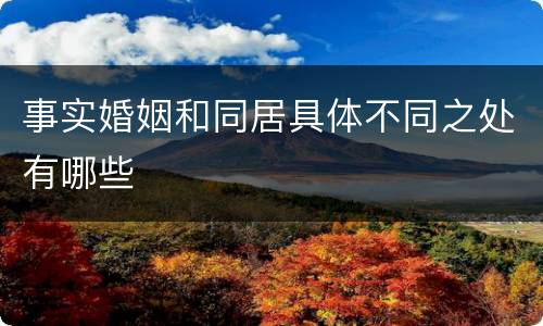 事实婚姻和同居具体不同之处有哪些