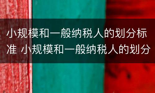 小规模和一般纳税人的划分标准 小规模和一般纳税人的划分标准是什么