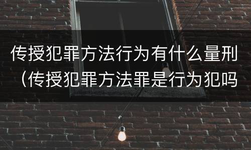 传授犯罪方法行为有什么量刑（传授犯罪方法罪是行为犯吗）