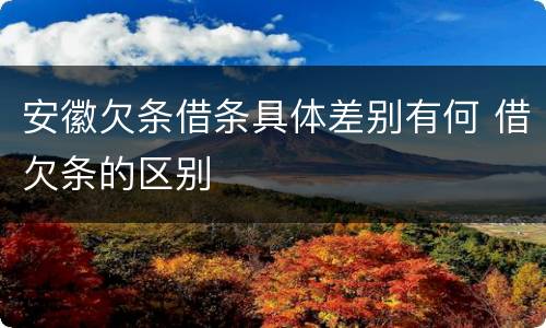 安徽欠条借条具体差别有何 借欠条的区别