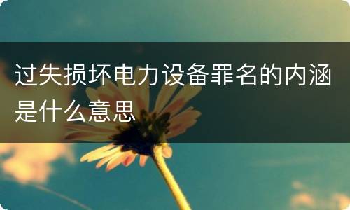过失损坏电力设备罪名的内涵是什么意思