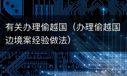 有关办理偷越国（办理偷越国边境案经验做法）