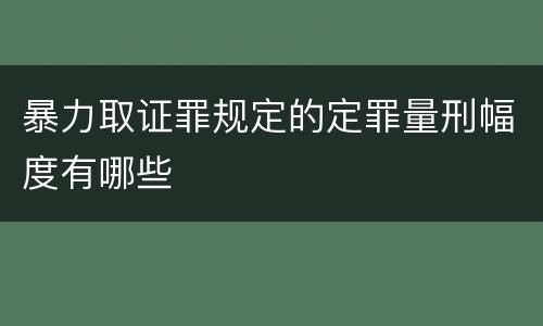 暴力取证罪规定的定罪量刑幅度有哪些