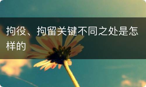 拘役、拘留关键不同之处是怎样的