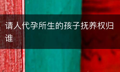 请人代孕所生的孩子抚养权归谁