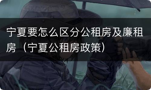 宁夏要怎么区分公租房及廉租房(宁夏公租房政策)
