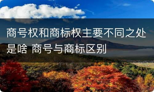商号权和商标权主要不同之处是啥 商号与商标区别