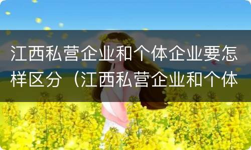 江西私营企业和个体企业要怎样区分（江西私营企业和个体企业要怎样区分呢）