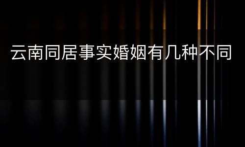 云南同居事实婚姻有几种不同