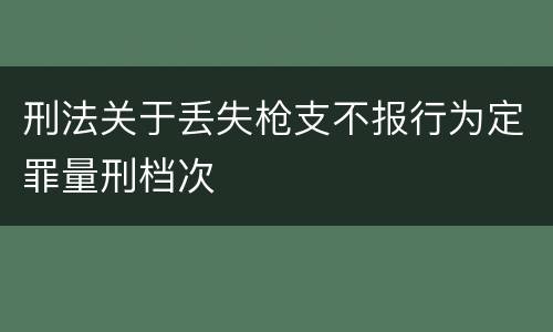 刑法关于丢失枪支不报行为定罪量刑档次