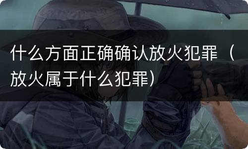 什么方面正确确认放火犯罪（放火属于什么犯罪）