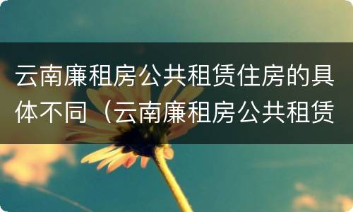 云南廉租房公共租赁住房的具体不同（云南廉租房公共租赁住房的具体不同地点）