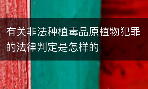 有关非法种植毒品原植物犯罪的法律判定是怎样的