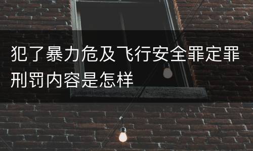 犯了暴力危及飞行安全罪定罪刑罚内容是怎样