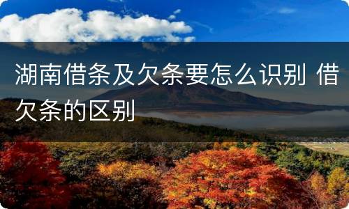 湖南借条及欠条要怎么识别 借欠条的区别