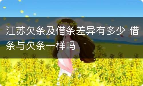 江苏欠条及借条差异有多少 借条与欠条一样吗