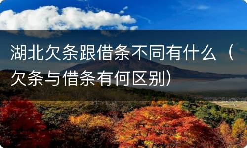 湖北欠条跟借条不同有什么（欠条与借条有何区别）