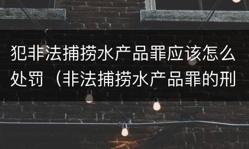 犯非法捕捞水产品罪应该怎么处罚（非法捕捞水产品罪的刑法处罚）