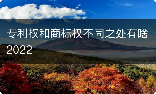 专利权和商标权不同之处有啥2022
